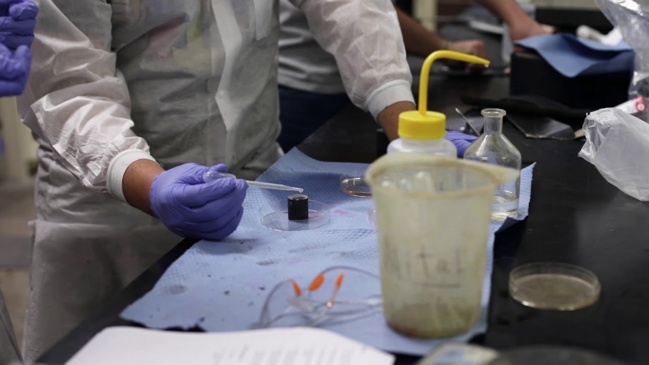 RIT Students Analyze Steel Microstructures in Metallography Course video