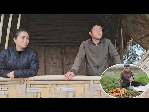 Harvesting carrots and radishes to sell at the market. Visiting my best friend's house.