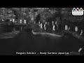 Moody Gardens Penguin Cam LIVE Penguin Habitat Stream At The Aquarium In Galveston Texas
