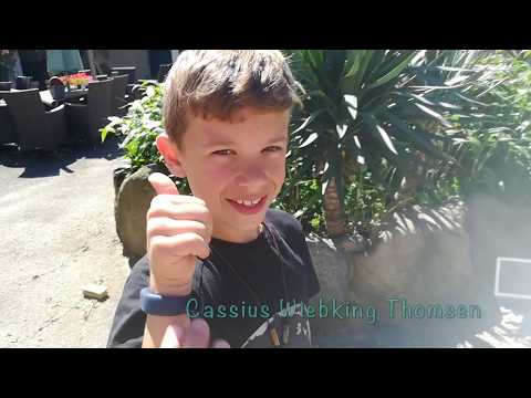 USTIX KIDS by Urbhanize® / Practice Sheet2 / Cassius Thomsen / LAUNCH 2019