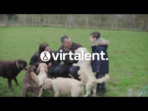 How a Pet Care Business Owner Reclaimed His Time With a Virtalent Virtual Assistant