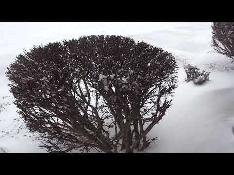 Weather, Snow, And High Winds, Friday, December 23, 2022, Port Huron, Michigan.