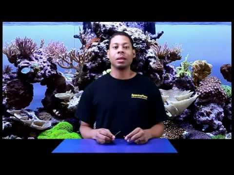 Part of a video titled How to set the flow restrictor waste to water ratio of your RO membrane