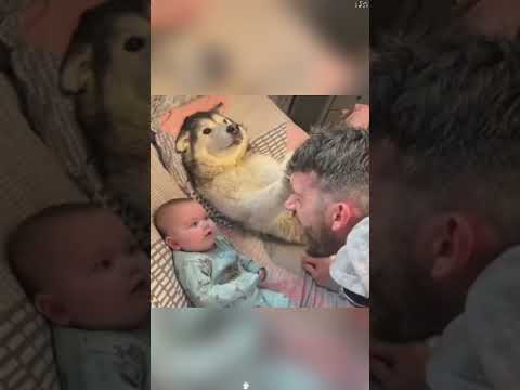 Phillies land All-Star closer Jhoan Duran ahead of MLB trade deadline 👀🔥 #JhoanDuran