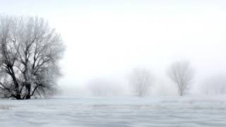 Van Morrison - &#39;Piper at the Gates of Dawn&#39;