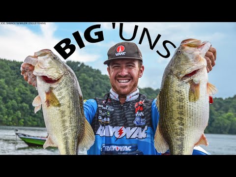 How to ALWAYS Catch the BIG BASS