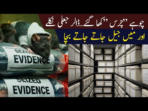 When Evidence Disappears: A True Police Story of Dollars, Files & Survival