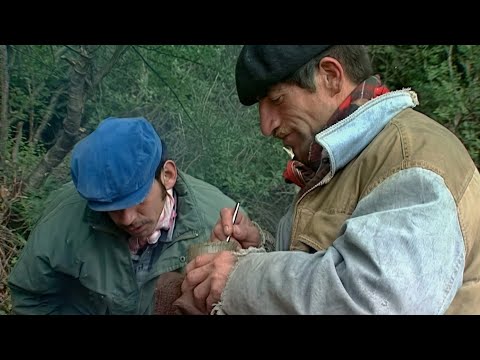 Colonos del Lago O'Higgins - Remasterizado