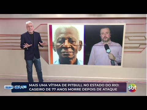 Idoso morre após ser atacado por pitbull em Natividade, região noroeste do Rio de Janeiro