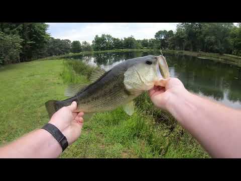 Slayin’ Bass | First Trip on Reel Talk Outdoors