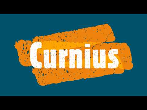 Curnius Drohnenbilder