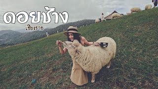 Download lagu ช่างเที่ยว | “ ดอยช้าง “ กับทริปเชียงราย 5วัน 4 คืน ⛰ mp3 Download lagu ช่างเที่ยว | “ ดอยช้าง “ กับทริปเชียงราย 5วัน 4 คืน ⛰ mp3