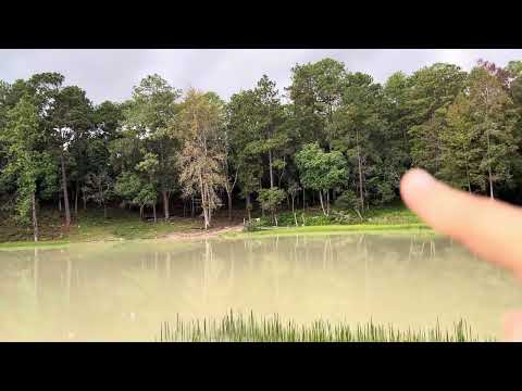 Venta de Terreno con Laguna y Rio #casa