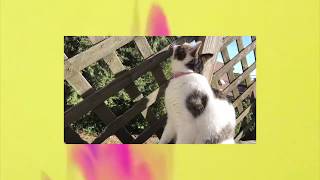 HEART DEPT. - I MISS MY FRIENDS