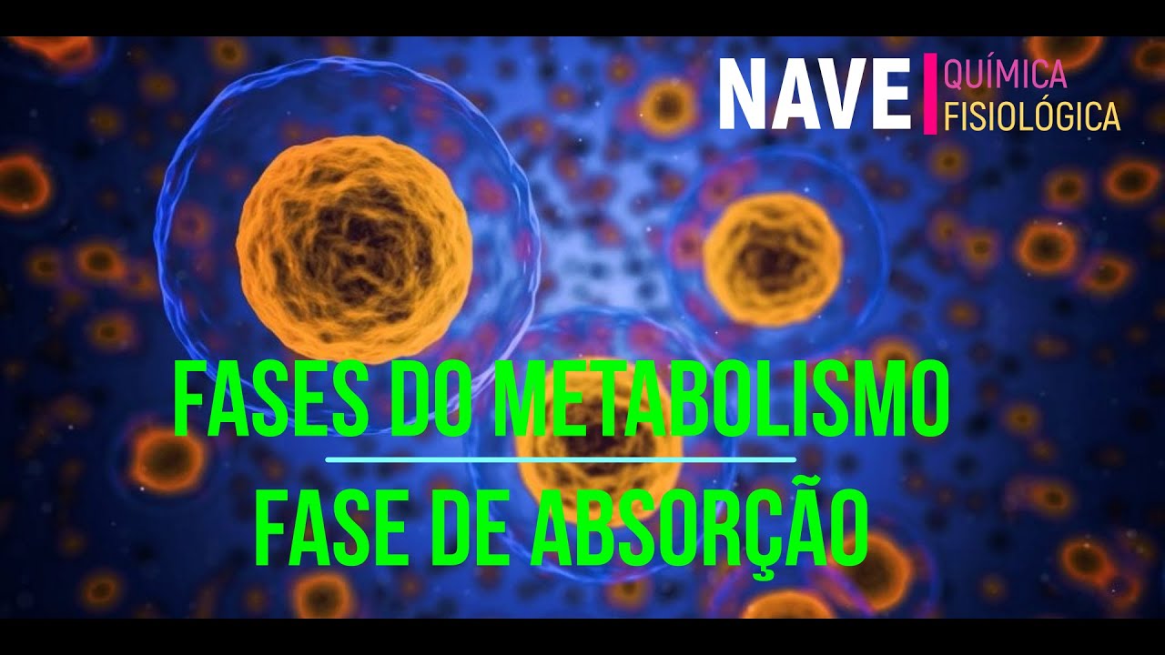 Fases do Metabolismo - Fase de Absorção