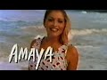 Real World Hawaii Season 8 Intro