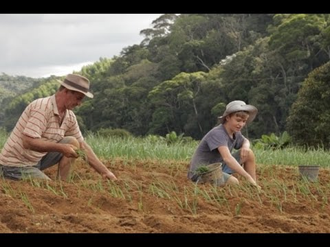Poema - Filho Ingrato