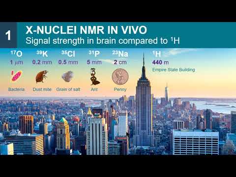 ISMRM MR Academy - Basic Principles for Imaging Non-Proton Nuclei