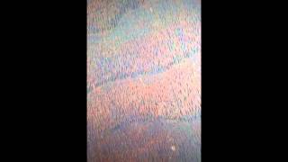 Jolie Holland and Booker T~ It's a Blessing