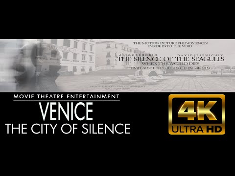 Experience Venice without humans: the Silence of the Seagulls