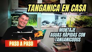 Un Rincón del Tanganica en nuestro Salón 🏠🌊 | Montaje Paso a Paso Aguas Rápidas Tanganicodus
