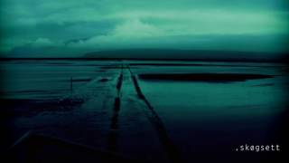 Living to try Again by Skøgsett