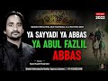 Nohay 2022 Ya Sayyadi Ya Abbas S Kashif Kakrolvi Noha Mola Abbas New Noha 2022