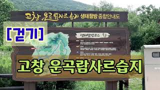 [걷기] 고창 운곡람사르습지
