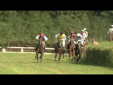 8. dostih - Cena společnosti Tipsport - dostihy Netolice 15. 8. 2021