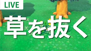【雑談】約２年放置した島の雑草を全部抜く！【あつ森】