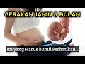 GERAKAN JANIN 6 BULAN YANG NORMAL Ibu Hamil Perhatikan Hal Ini