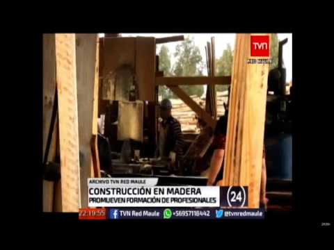 TVN Sector forestal promueve formación de profesionales de la madera en Maule