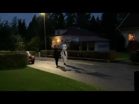 Besök av sommar och vinterskuggan