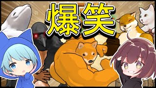 Twitterで話題になったバカゲーが面白すぎて腹筋崩壊ｗｗｗｗｗ【そらねこ】【ちんやく】