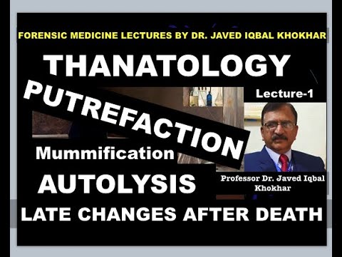 1. PUTREFACTION-LATE CHANGES AFTER DEATH PUTREFACTION MUMMIFICATION ADIPOCERE FORMATION AUTOLYSIS