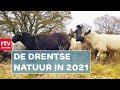 In vogelvlucht door de Drentse natuur | Roeg! | RTV Drenthe