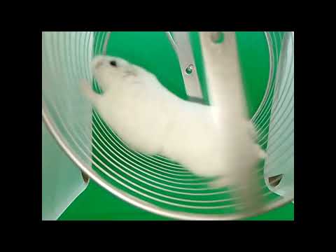 FLOATING THROUGH THE AIR !!!!!!!!!!!!