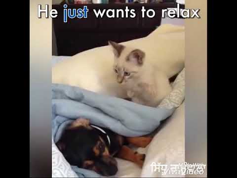 Jhangi Pheroo Malik Nasir