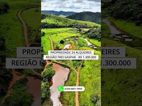 EXCELENTE PROPRIEDADE 24 ALQUEIRES FREI GASPAR-MG R$ 1.300.000,00 #luxo #pecuarista #fazenda #agro