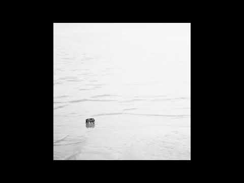 Basheskia - "Noć prije odlaska" (Opasan čovjek - pjesme Mehmeda Begića) official audio