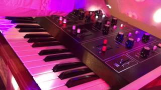Video thumbnail for Octave Cat Demo 1 - Oscillators and Filter by Earmonkey Music