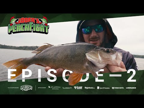 Perch Fight  2019 - Episode 2