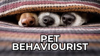 JOB OF THE WEEK - EPISODE #252 - PET BEHAVIOURIST