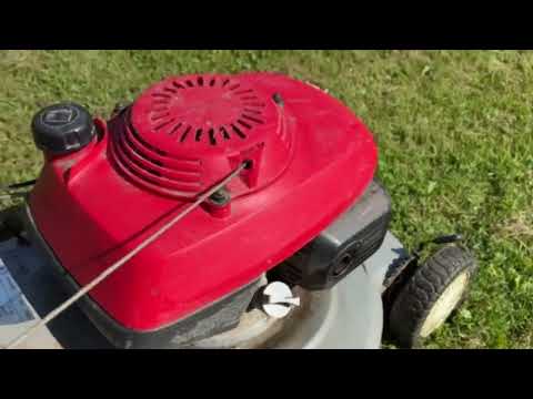 Videoklipp