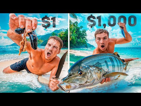 $1 VS $1000 Sea Food Catch and Cook
