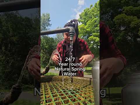 Natural Spring Water