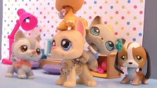 {LPS} Les Kimchi répondent à vos questions ! [w/ Témarie]