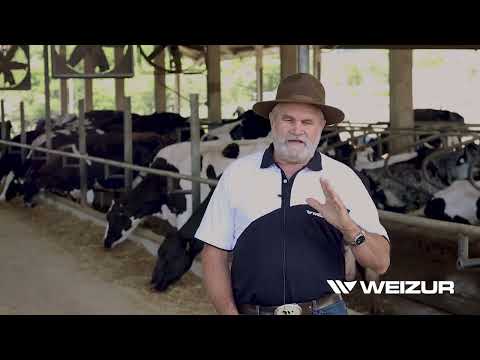 Karera - Áreas de Trânsito