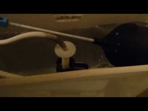VIDEO: Broken toilet valve | All Islands Home Inspections