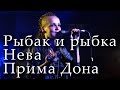 Рыбак и рыбка (Прекрасно). Нева. Прима Дона. Группа «Маша и медведи» в ...